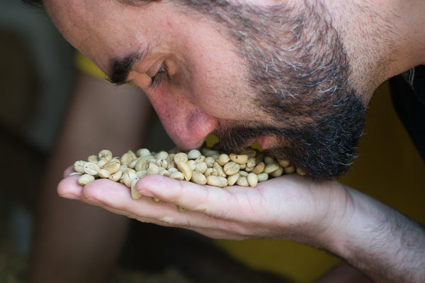 What is Specialty Coffee?