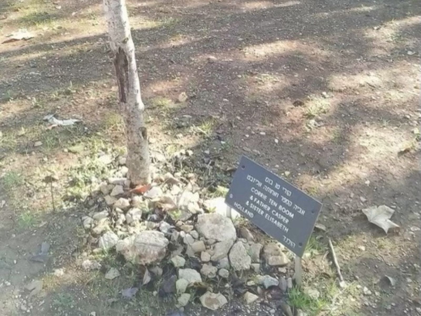 Righteous Among the Nations